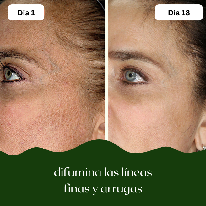 Pads Tonificantes Coreanos K8-Rejuvenate - Puraderma