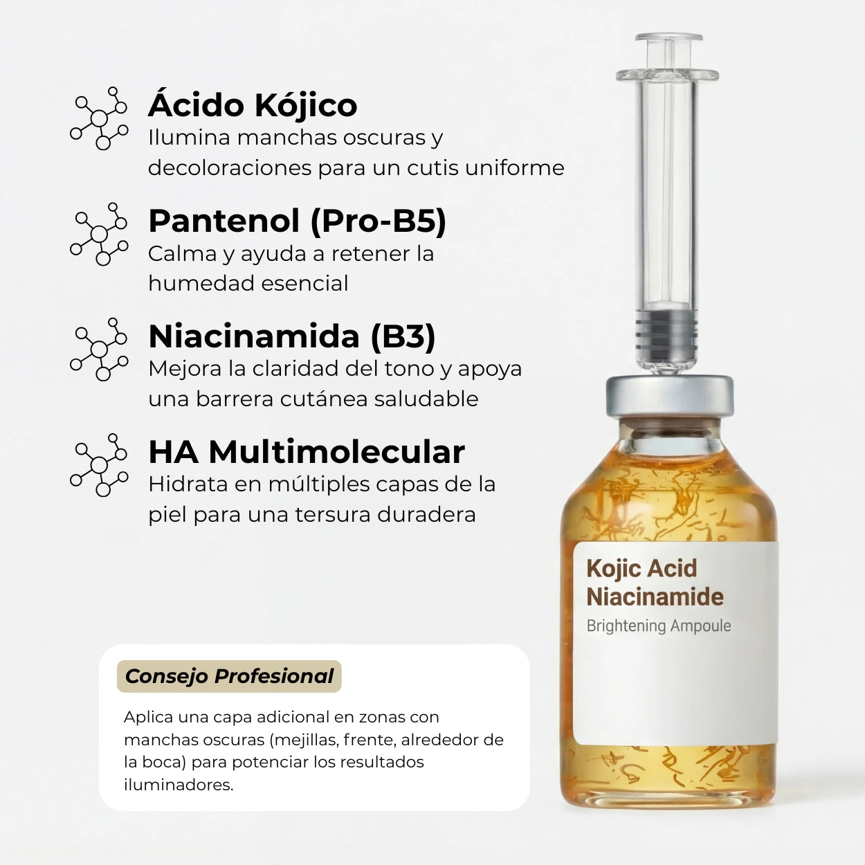 El Bundle de Transformación