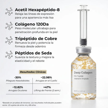 El Bundle de Transformación