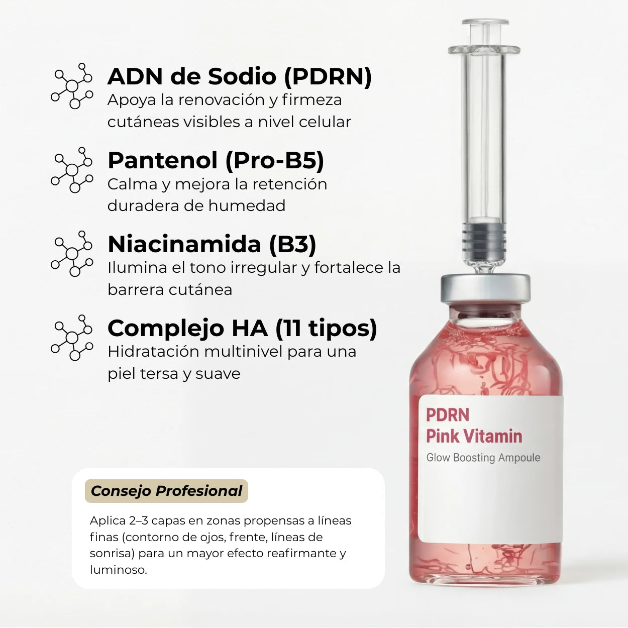 El Bundle de Transformación