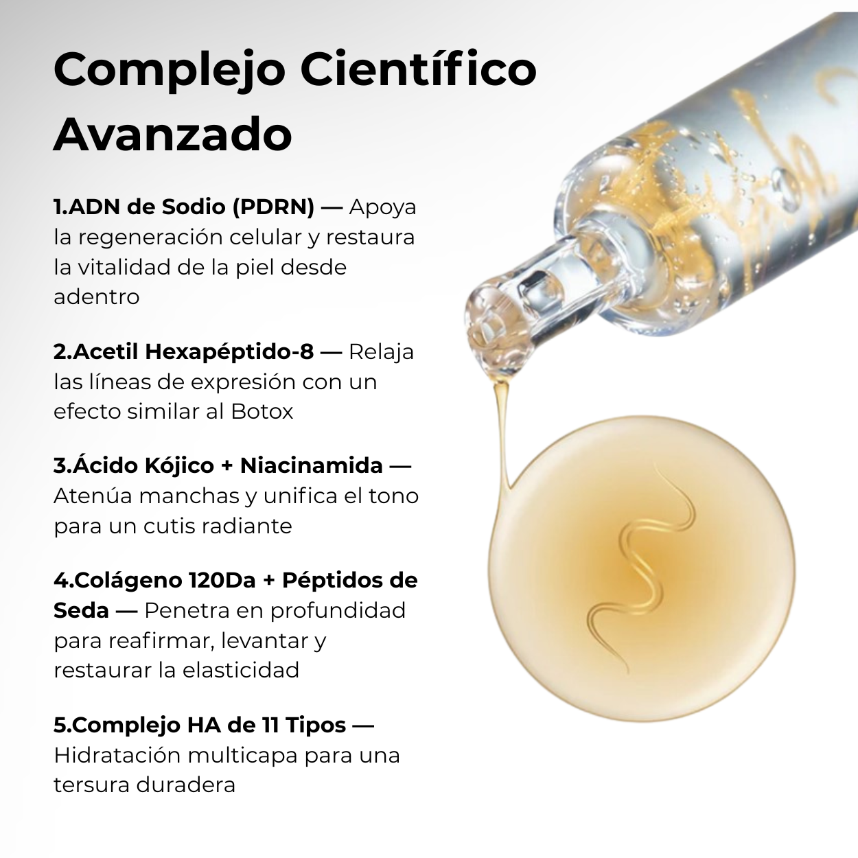 El Bundle de Transformación