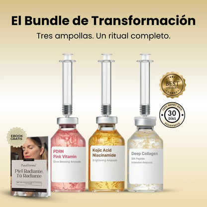 El Bundle de Transformación