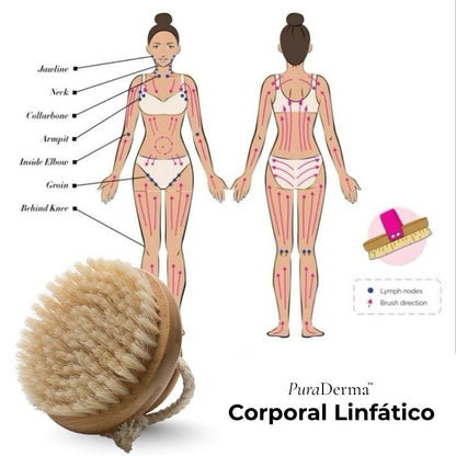 PuraDerma™ Brocha Contorno LymphGlow